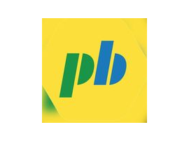 Pinheiro Borges